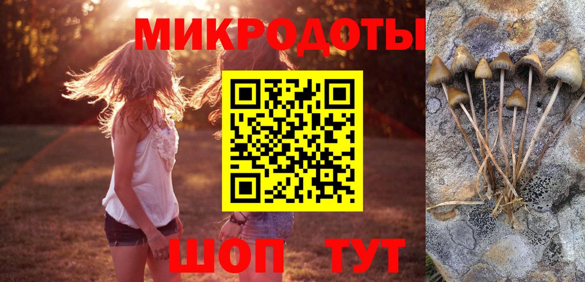 Псилоцибиновые грибы Magic Shrooms  Вход с VPN  Ивантеевка 