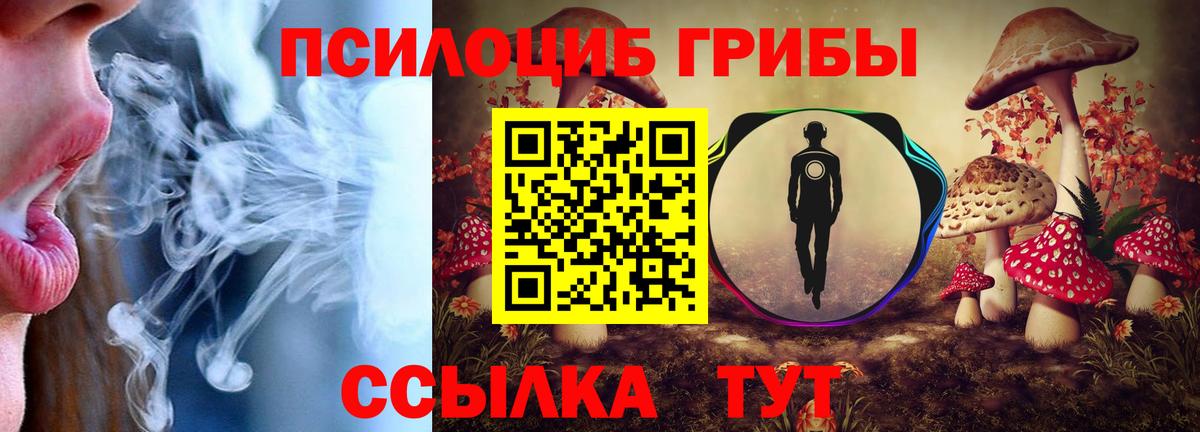 Псилоцибиновые грибы GOLDEN TEACHER Ивантеевка